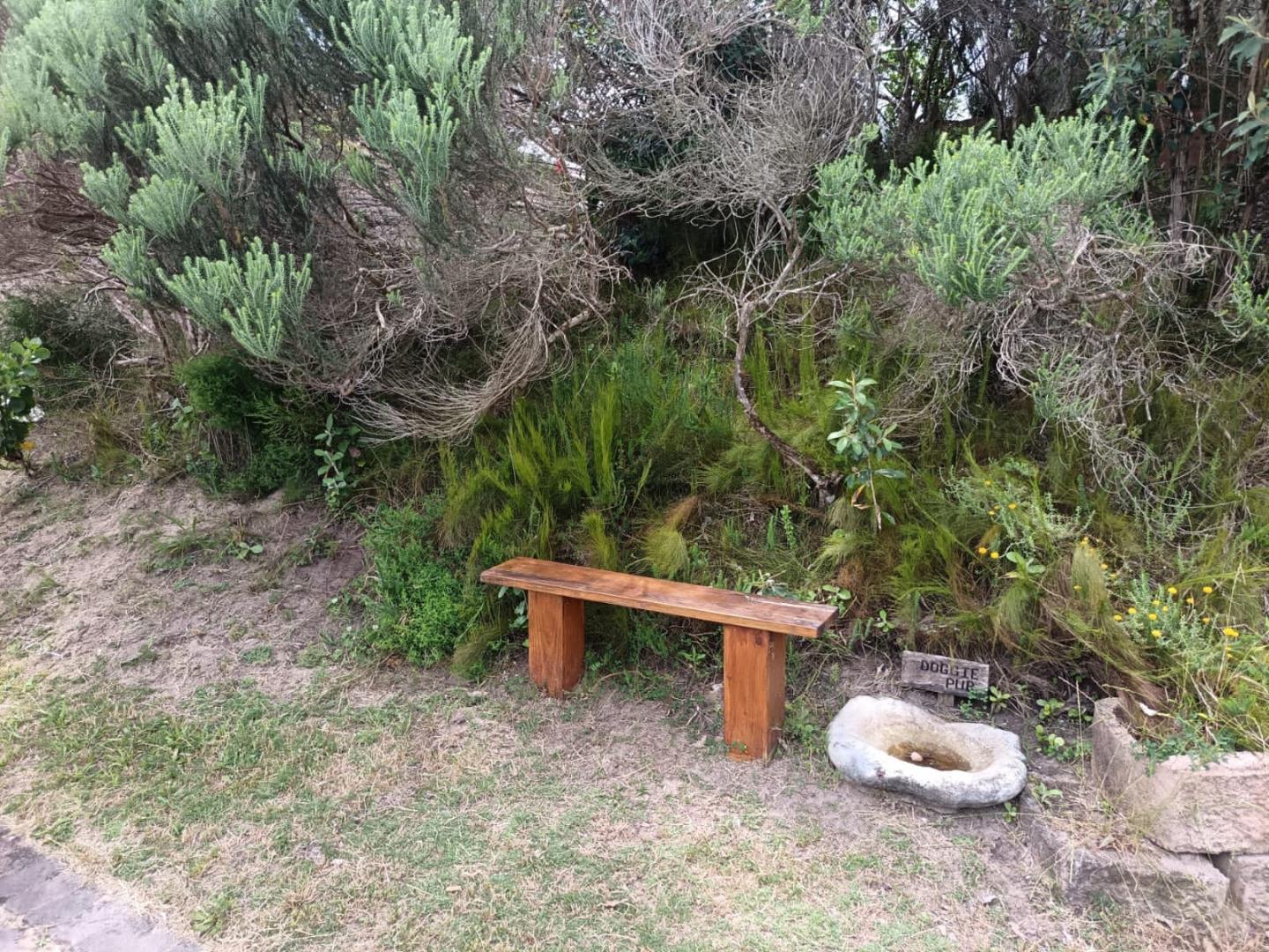 751888_IMG-20241126-WA0056.jpg